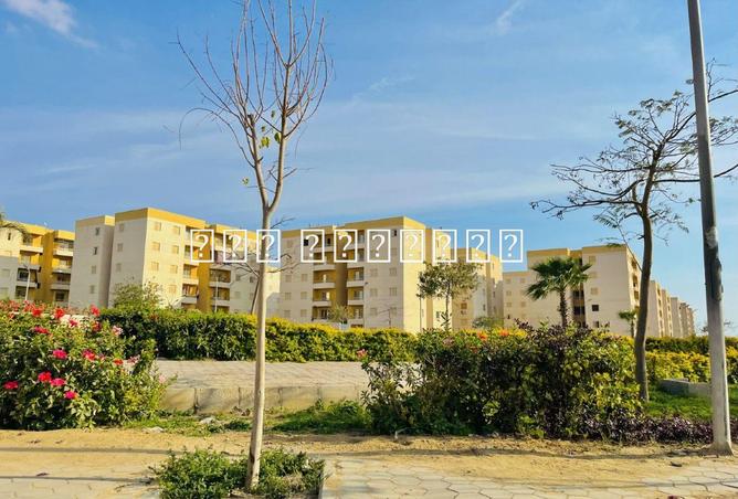 8594159 - الصورة الرئيسية للعقار