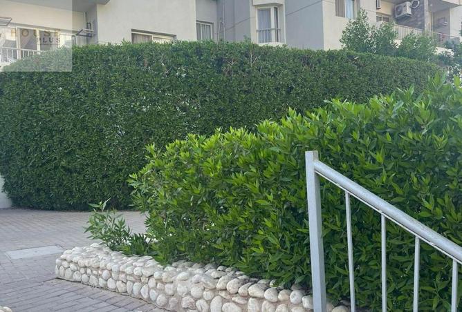83411592 - Property Image 3