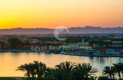 شاليه - 2 غرف نوم - 2 حمامات للبيع في مانجروفي ريزيدنس - الجونة - الغردقة - محافظة البحر الاحمر شاليه - 2 غرف نوم - 2 حمامات للبيع في مانجروفي ريزيدنس - الجونة - الغردقة - محافظة البحر الاحمر