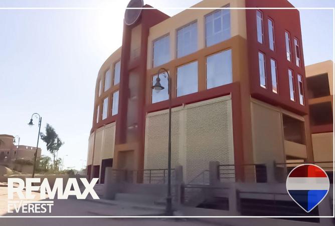 62175064 - صورة العقار 3