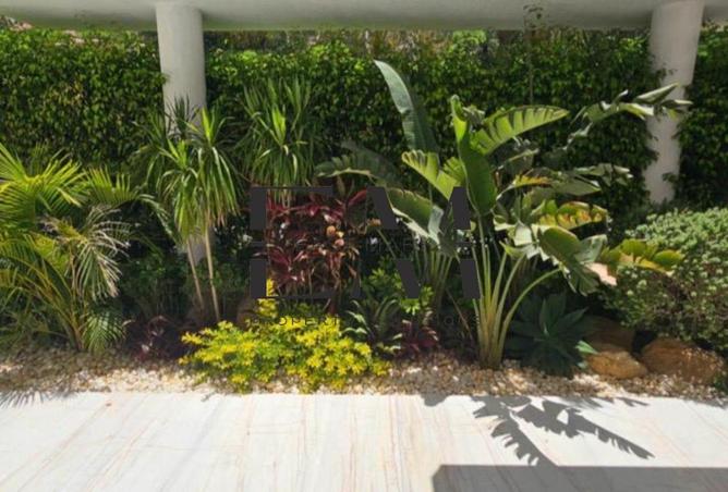 99800728 - Property Image 3