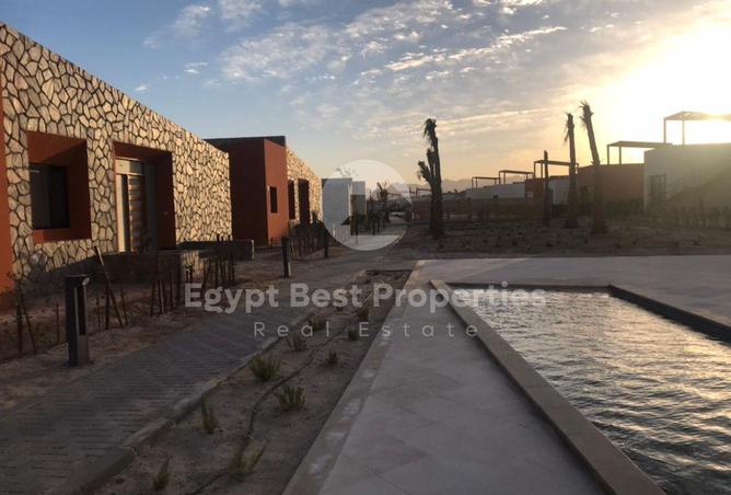 8672636 - صورة العقار 2