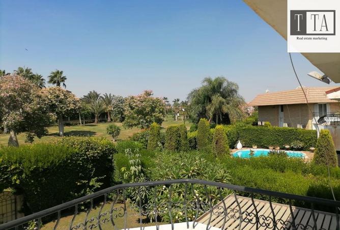 65166454 - صورة العقار 3