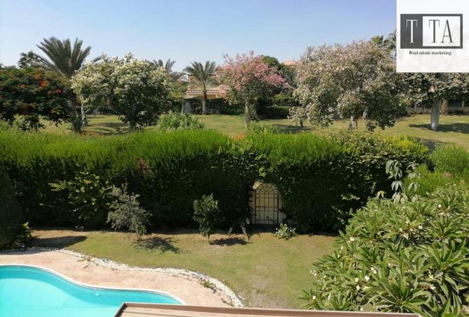 65166454 - صورة العقار 2