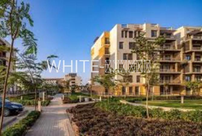 69567375 - صورة العقار 2