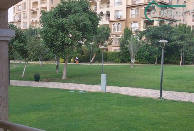 66686775 - صورة العقار 3