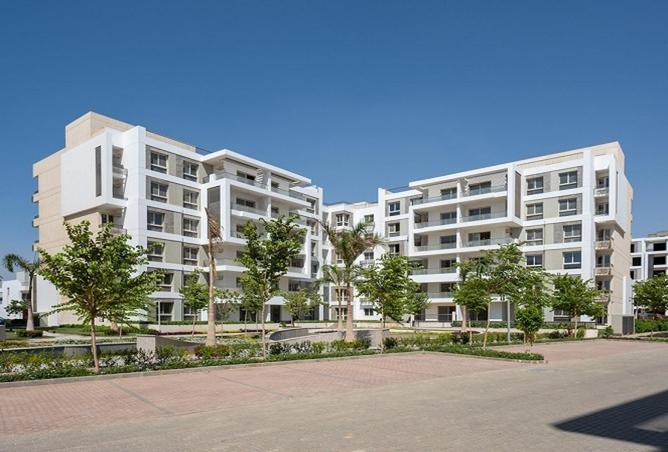 70358076 - Property Image 2