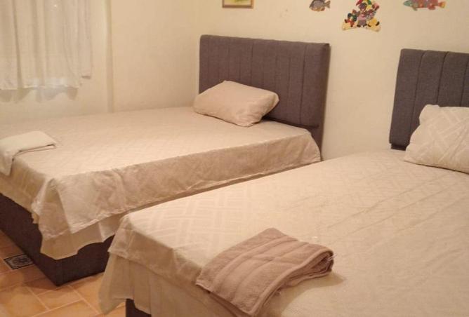 62405306 - صورة العقار 3