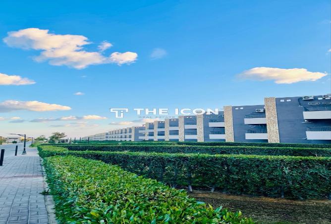 66955757 - صورة العقار 3