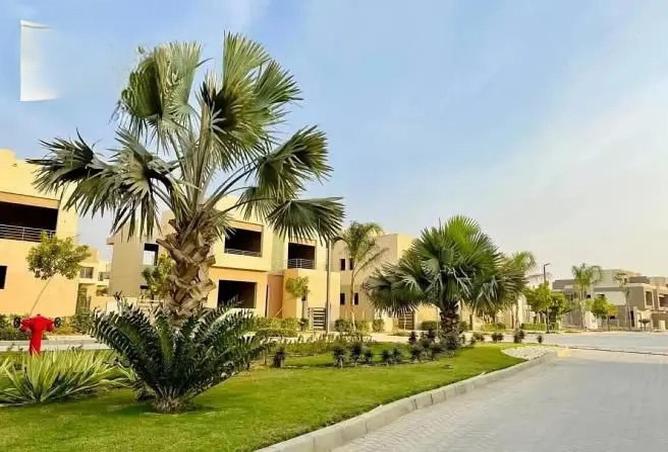 80000101 - صورة العقار 3