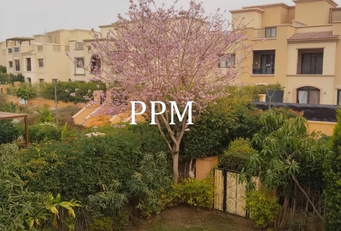 66175194 - صورة العقار 3