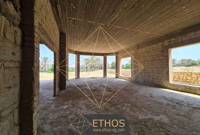 67480223 - Property Image 2