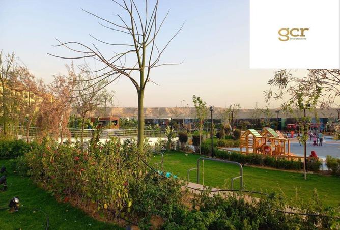 52716517 - صورة العقار 2