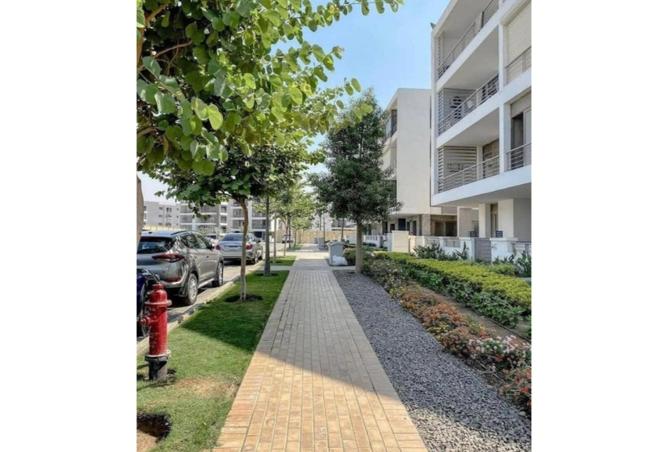 8465705 - Property Image 3