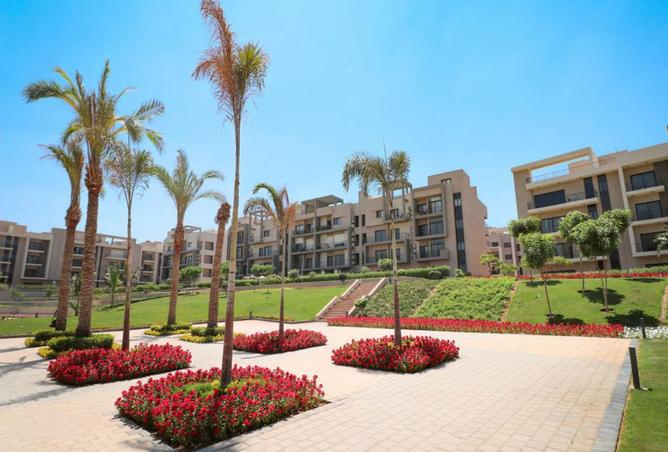 71650248 - صورة العقار 3