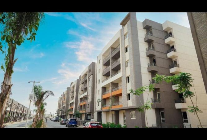 66171584 - Property Image 3