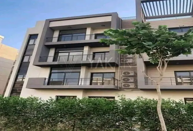 112695657 - Property Image 2