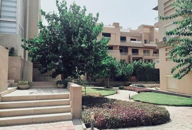 52723825 - صورة العقار 2