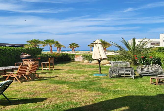 54238316 - صورة العقار 3