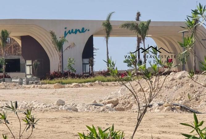 55247935 - Property Image 3