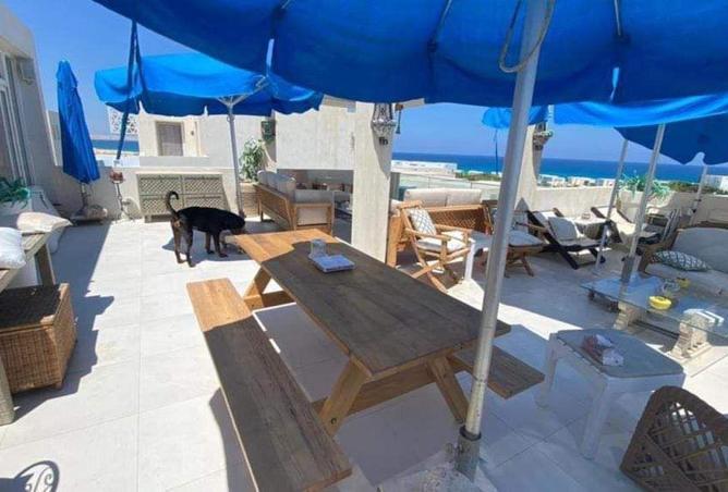 61686579 - صورة العقار 2