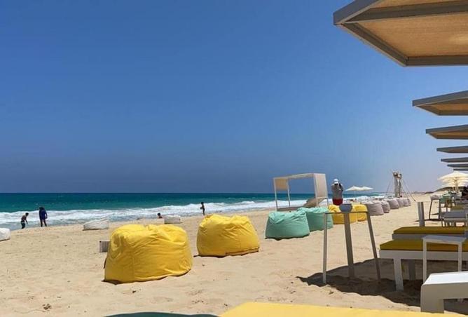 61686579 - صورة العقار 3