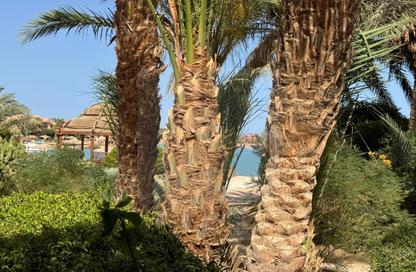 شقة - 3 - 3 للبيع في كمبوند الايطالي - الجونة - الغردقة - محافظة البحر الاحمر