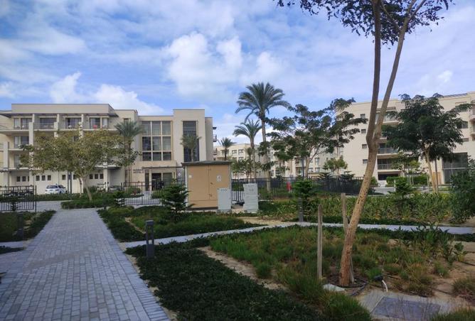 63393090 - Property Image 2