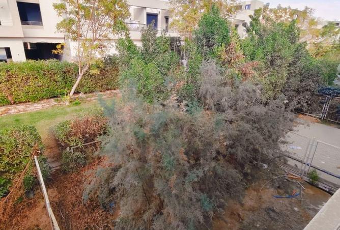 66429734 - صورة العقار 3