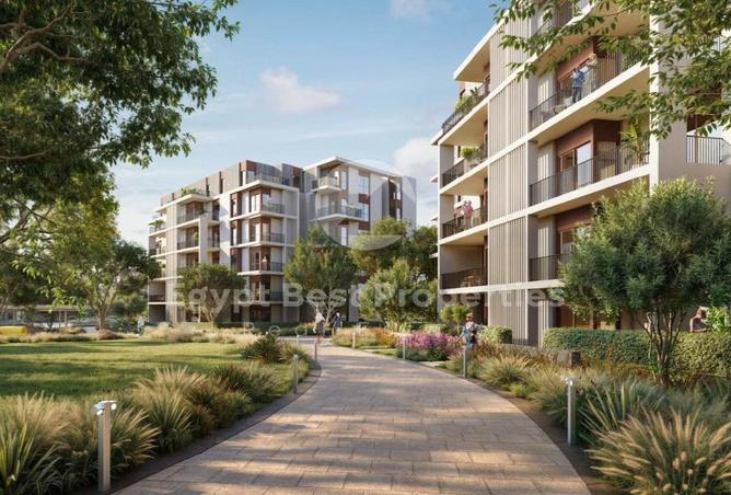 65921603 - Property Image 3