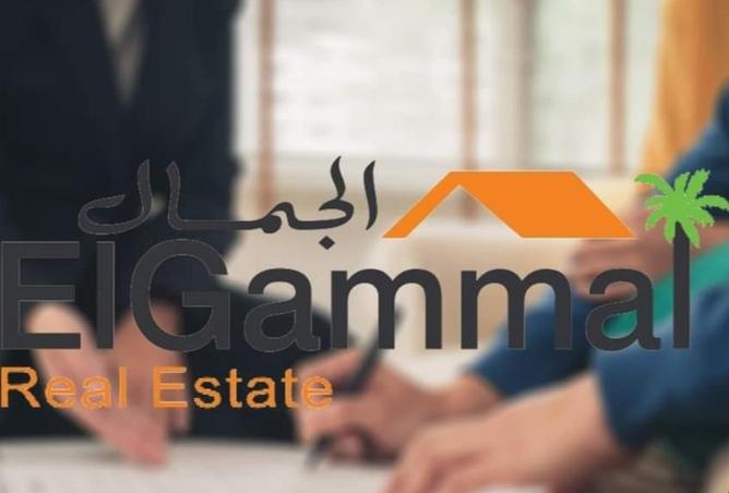 56246389 - صورة العقار 3