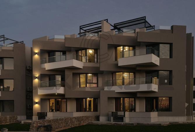 67736918 - Property Image 3