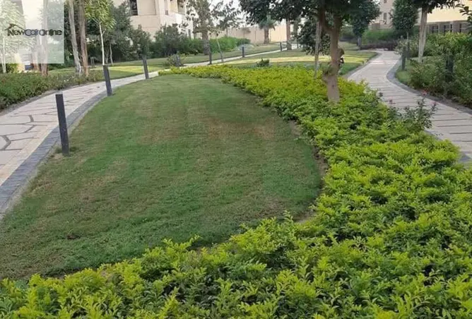 119844025 - Property Image 2