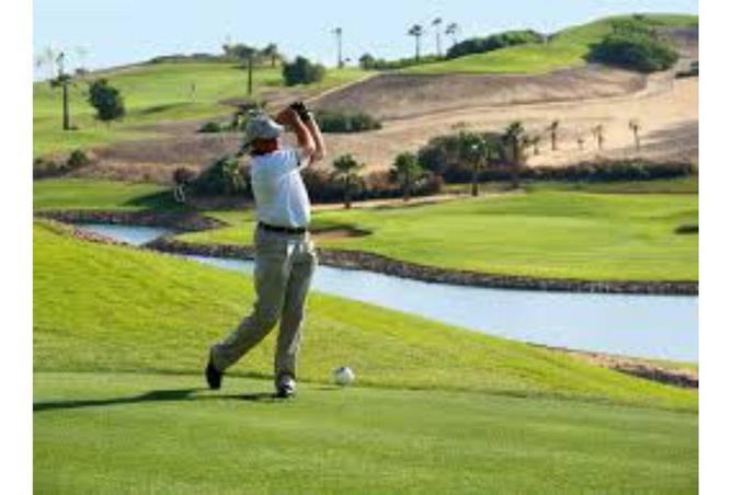 54234896 - صورة العقار 3