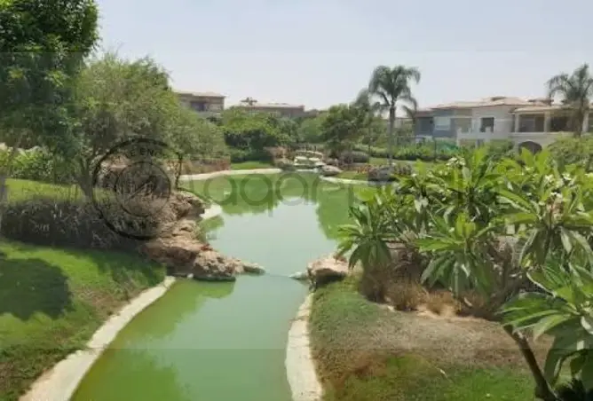 114624703 - Property Image 3