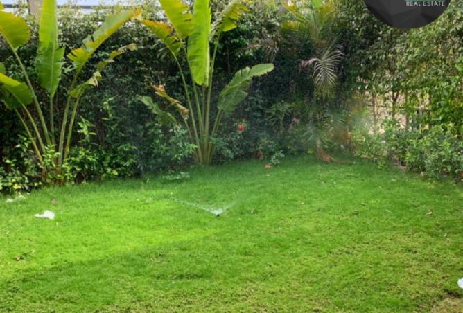 8561383 - Property Image 3