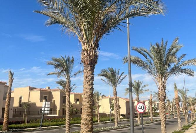 70107450 - صورة العقار 3