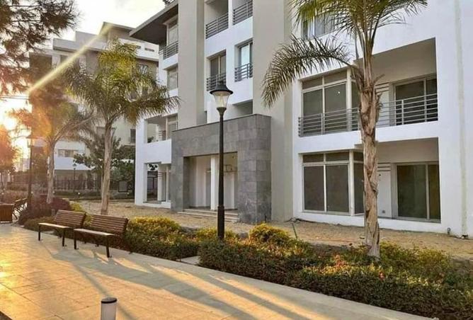 8610646 - Property Image 3