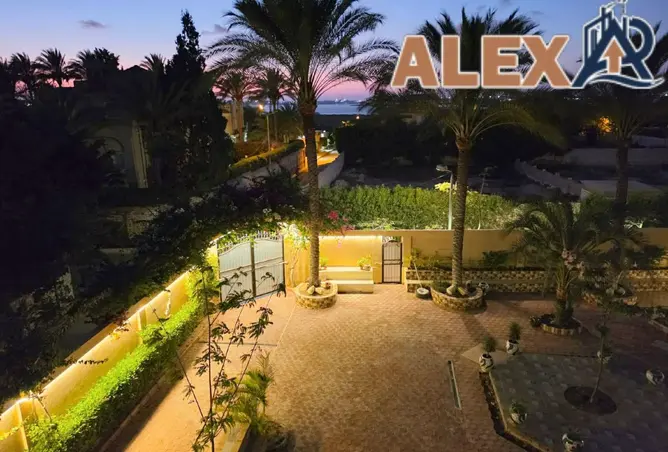 111602216 - Property Image 2