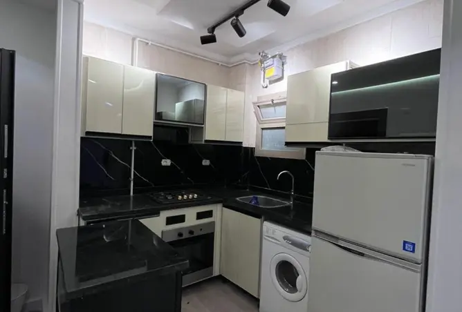 116743381 - Property Image 3