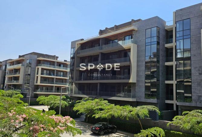 57748335 - Property Image 3