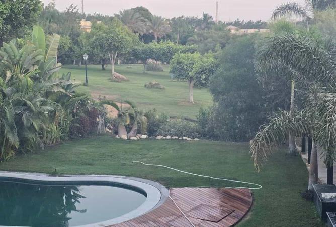 68783274 - صورة العقار 3