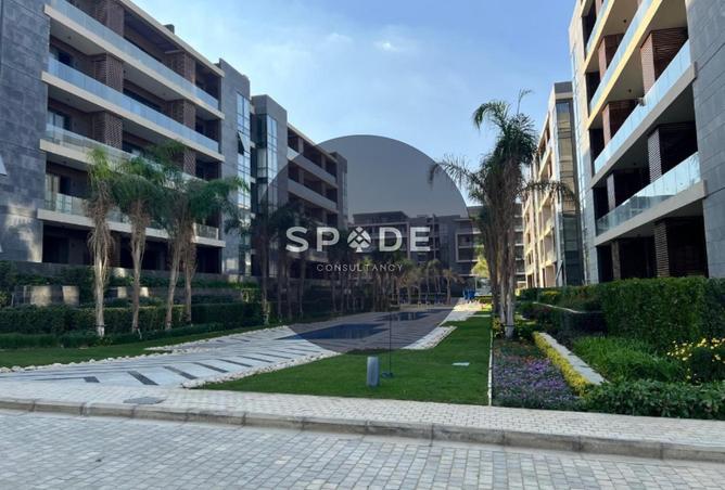 53721834 - Property Image 2