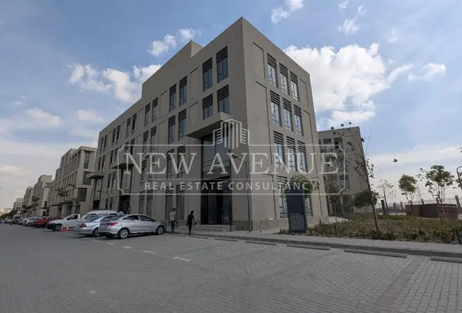 113248909 - Property Image 2