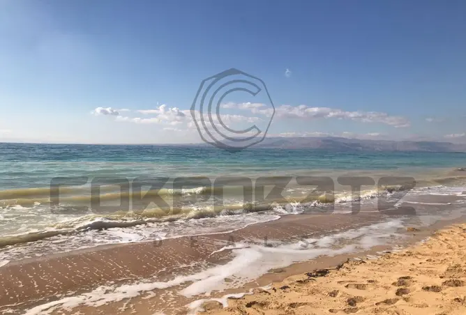 116486901 - Property Image 3
