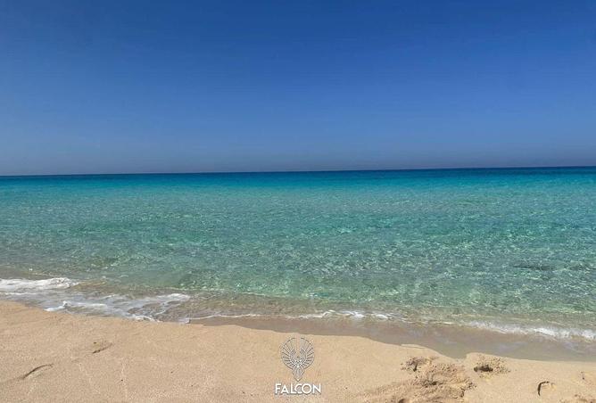 101495206 - صورة العقار 2