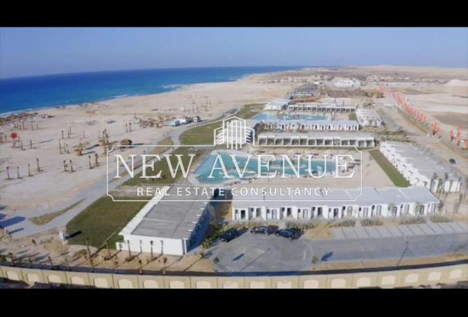 59489922 - Property Main Image