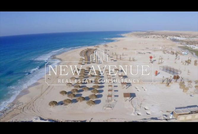 59489922 - Property Image 2