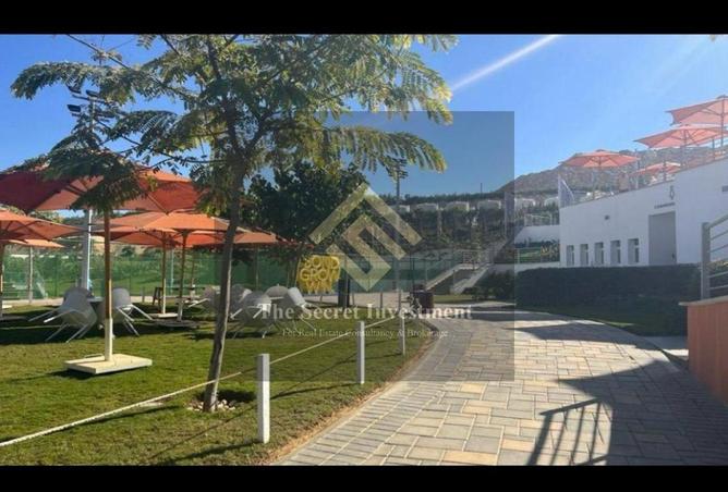 66177258 - صورة العقار 2