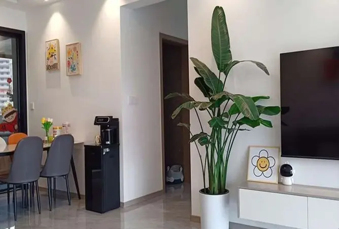 96858075 - Property Image 2